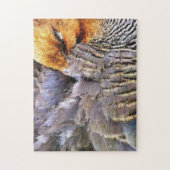 PUZZLE CANARDS (Vertical)