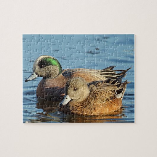 Puzzle Canards à gros grains américains (Drake et Hen) (Horizontal)