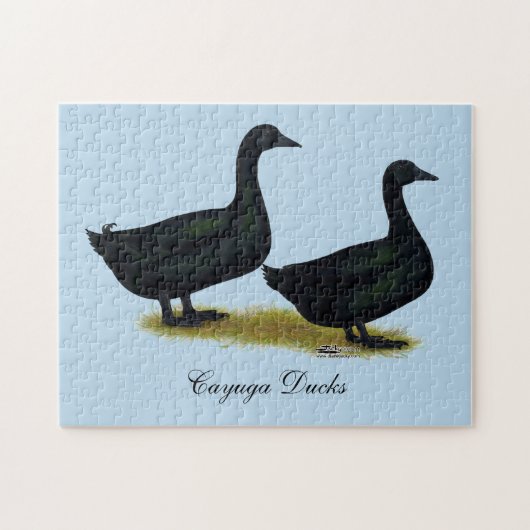 Puzzle Canards : Cayugas noirs (Horizontal)