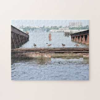 Puzzle Canards dans la rivière Hudson New York