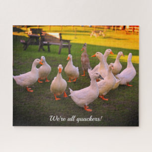 Puzzle Canards dans le parc Funny Quackers vacances