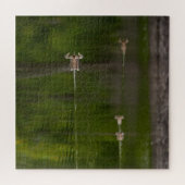 Puzzle Canards dans un lac vert (Horizontal)