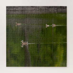 Puzzle Canards dans un lac vert