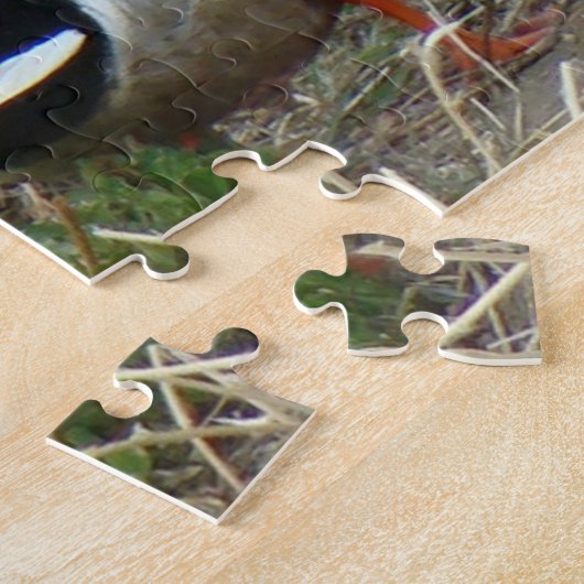 Puzzle Canards de B12 Mallard (Côté)