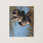 Puzzle Canards de Mallard (Vertical)