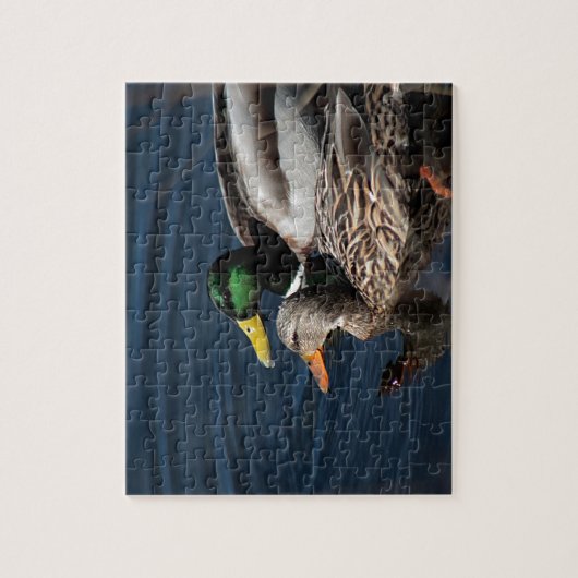 Puzzle Canards de Mallard (Vertical)