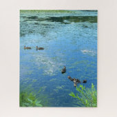 Puzzle Canards et canards dans l'eau difficile (Vertical)