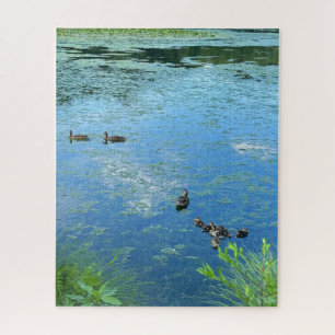 Puzzle Canards et canards dans l'eau difficile