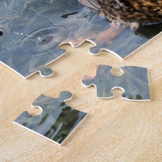 Puzzle Canards mâles et femelles dans un lac (Côté)