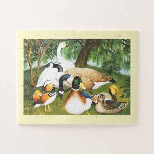 Puzzle Canards, oies et cygnes (Horizontal)