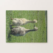 Puzzle Canetons indiens de coureur (Horizontal)