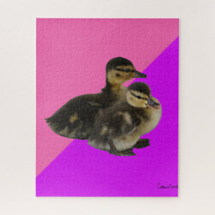 Puzzle Canetons sur framboise rose et sorbet violet