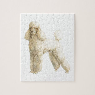 Puzzle Caniche -- Agrafe de chiot