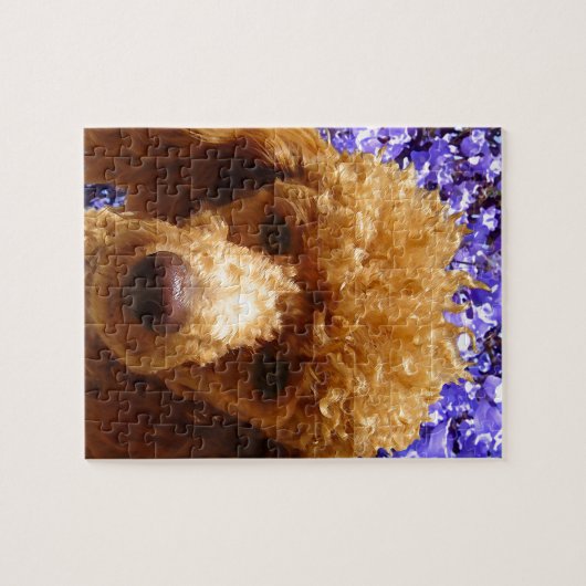 Puzzle Caniche mignon (Horizontal)