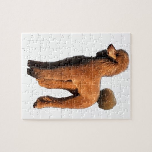 Puzzle caniche rouge (Horizontal)