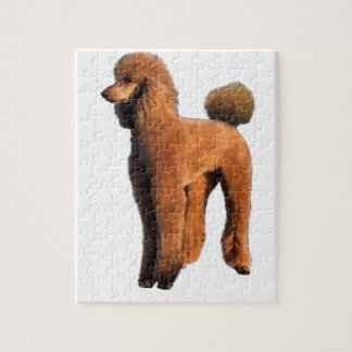 Puzzle caniche rouge