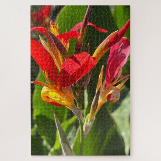 Puzzle Canna rouge, Oakland (Vertical)