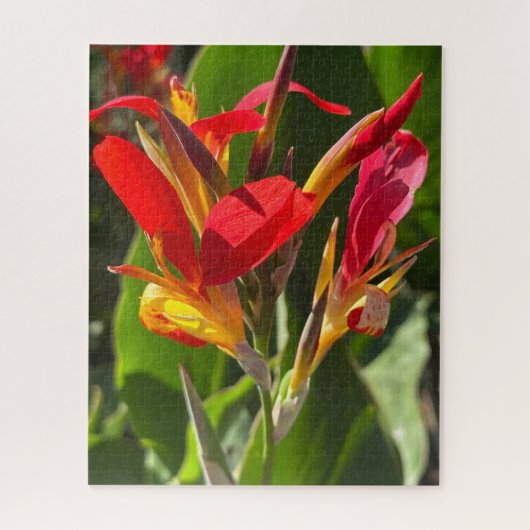 Puzzle Canna rouge, Oakland (Vertical)