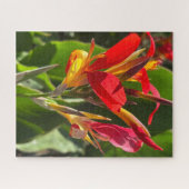 Puzzle Canna rouge, Oakland (Horizontal)