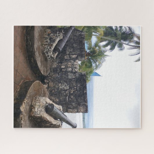 Puzzle Cannons at the Edge of Silence (Horizontal)