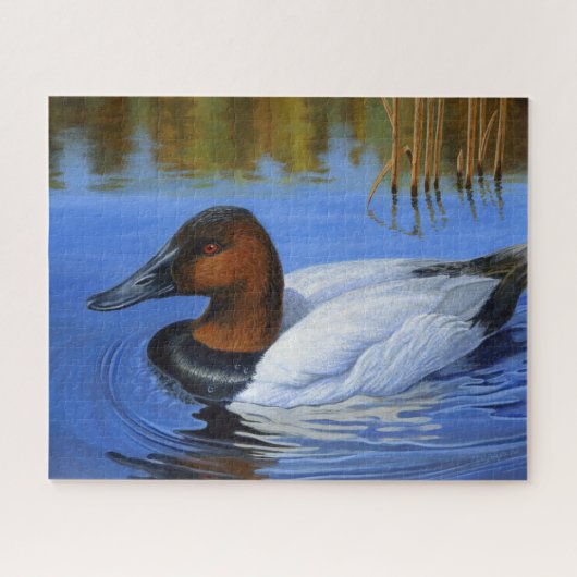 Puzzle Canvasback Baignade de canard, Roseaux, Peinture a (Horizontal)