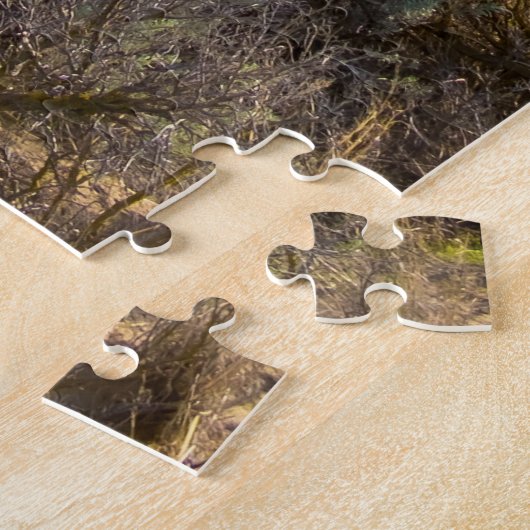 Puzzle Canyon Columbia Gorge Sageland (Côté)