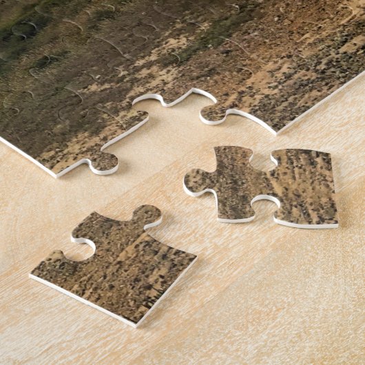 Puzzle Cape Blanco State Park, Oregon Coast (Côté)