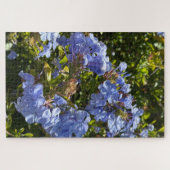 Puzzle Cape de pervenche Plumbago, Oakland (Horizontal)