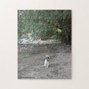 Puzzle Capo von Oppenheim Jack Russell Terrier, Chien