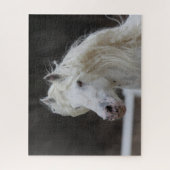 Puzzle Capture d'écran de Bob Langrish Appaloosa Friesian (Vertical)