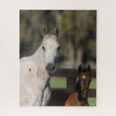Puzzle Capture d'écran de Bob Langrish Arab Mare and Foie (Vertical)