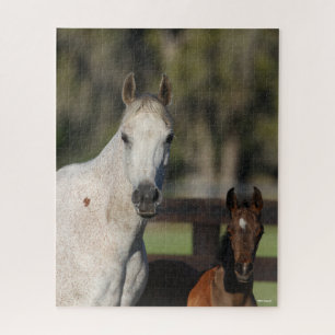 Puzzle Capture d'écran de Bob Langrish Arab Mare and Foie