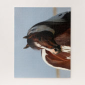 Puzzle Capture d'écran de Bob Langrish Tobiano Paint Hors (Vertical)