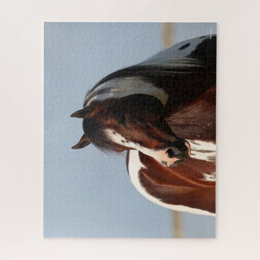 Puzzle Capture d'écran de Bob Langrish Tobiano Paint Hors (Vertical)