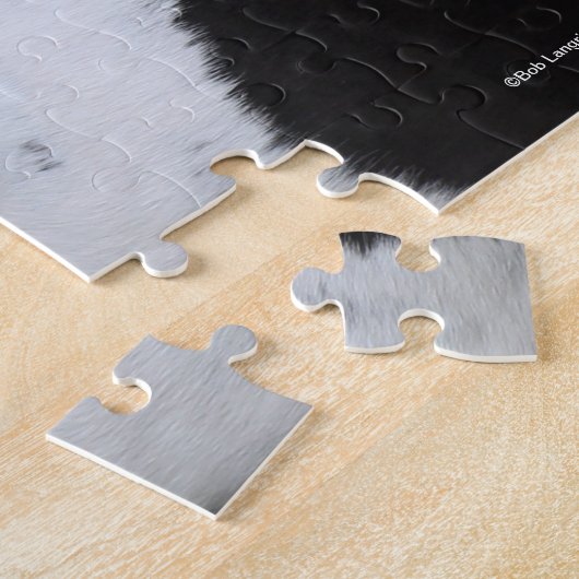 Puzzle Capture D'Écran De La Vannière Gitane Noire Et Bla (Côté)