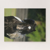 Puzzle Capture d'écran du bandeau noir et blanc de Bob La (Horizontal)