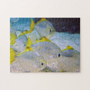 Puzzle Capture d'image du groupe de poissons