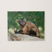 Puzzle Capuchin Singe Mignonne Mais Cranky (Horizontal)
