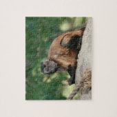 Puzzle Capuchin Singe Mignonne Mais Cranky (Vertical)