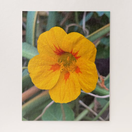 Puzzle Capucine jaune, San Francisco (Vertical)