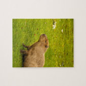 Puzzle Capybara (Horizontal)