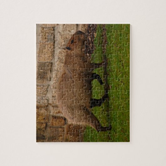 Puzzle capybara (Vertical)