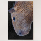 Puzzle Capybara (Vertical)