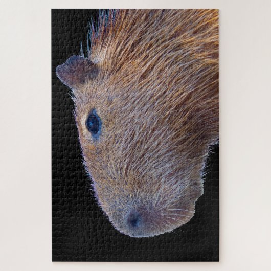 Puzzle Capybara (Vertical)