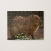 Puzzle Capybara (Horizontal)