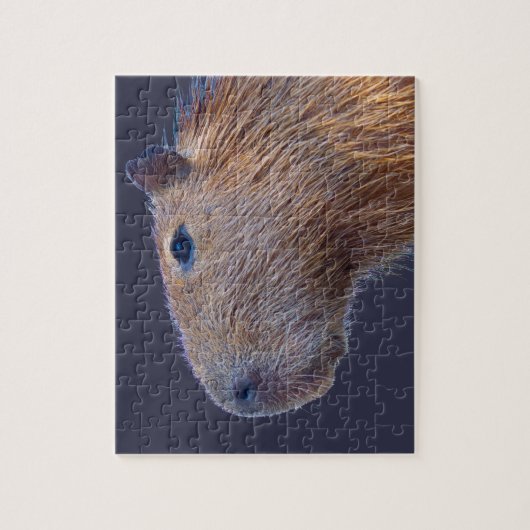 Puzzle Capybara (Vertical)