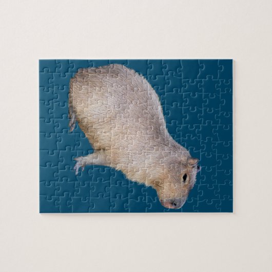 Puzzle Capybara (Horizontal)