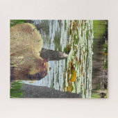 Puzzle Capybara - Pneumatophores - Faune (Horizontal)