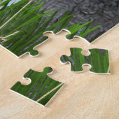 Puzzle Capybara - Pneumatophores - Faune (Côté)