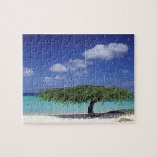 Puzzle Caraïbes, Aruba. Plage d'Eagle